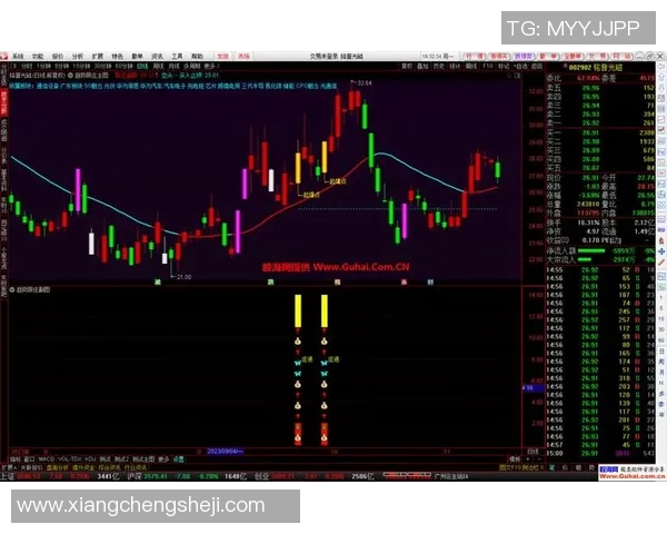 杭州极限运动队区域防守策略解析与热点趋势探讨
