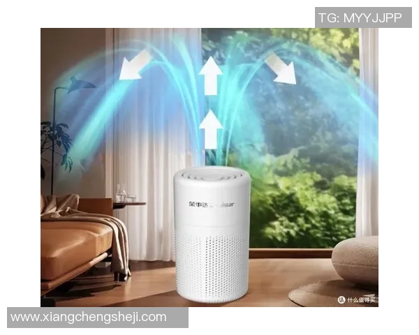 空气净化器的选购指南与使用技巧，打造健康清新室内环境的必备工具